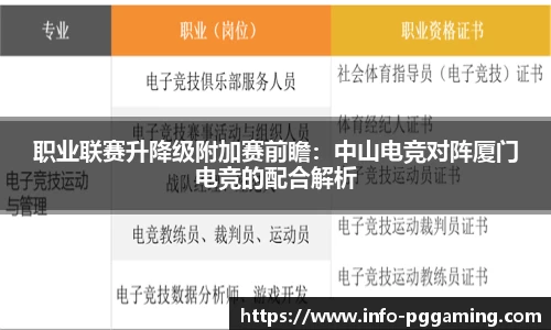 职业联赛升降级附加赛前瞻：中山电竞对阵厦门电竞的配合解析